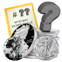 Silver Eagle Mystery Pull!