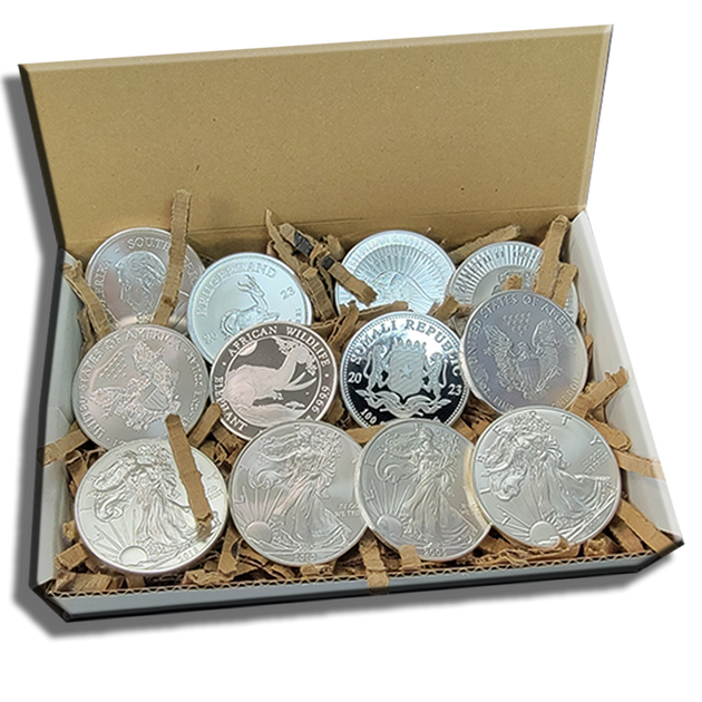 Premium Silver Mystery Box | Coolstax Vault