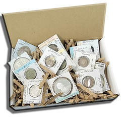 World Coins Mystery Box